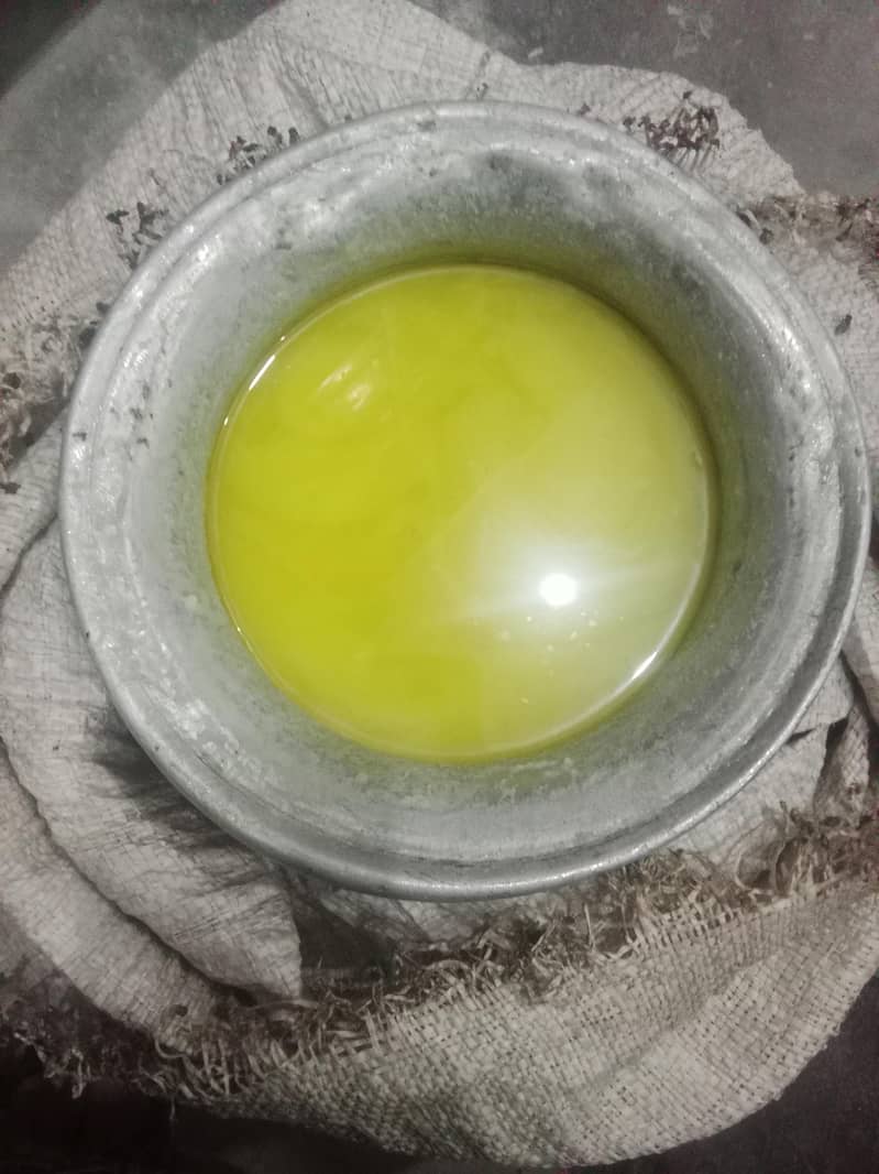 دیسی گھی 0