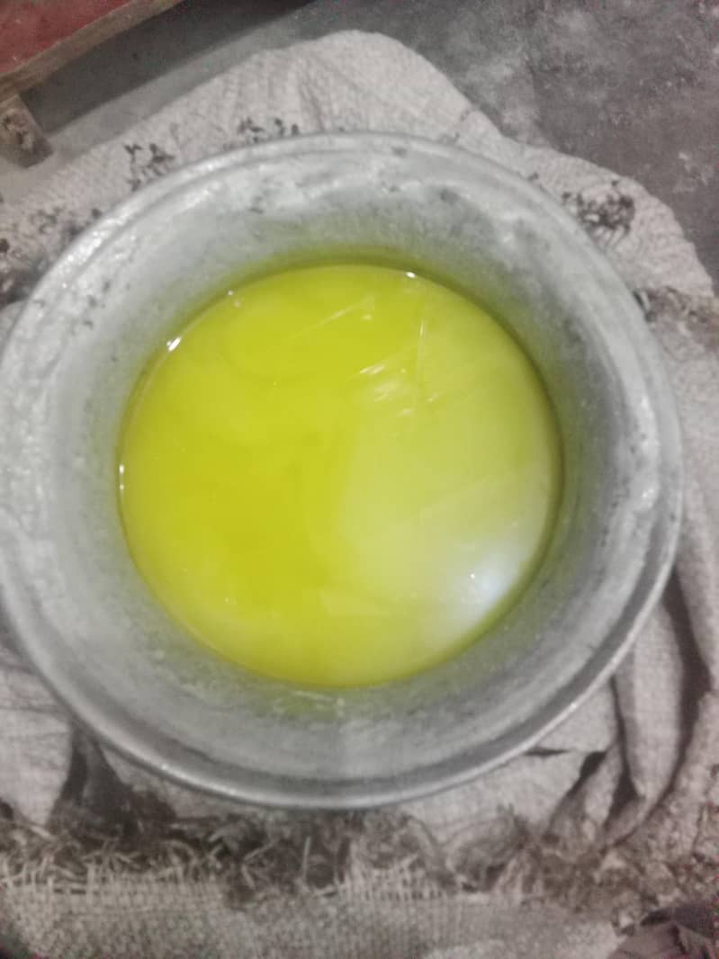 دیسی گھی 1