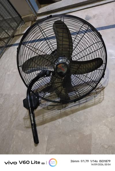 Royal Fan