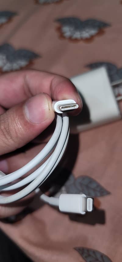 13 Pro Max original charger