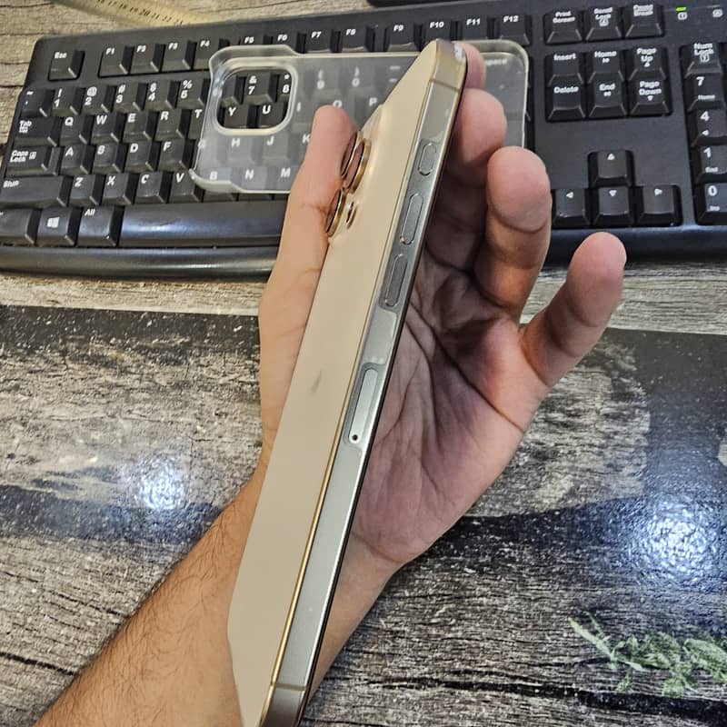 iPhone 16 Pro Max 2