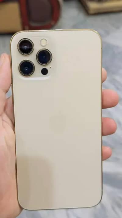 Apple iPhone 12 Pro Max