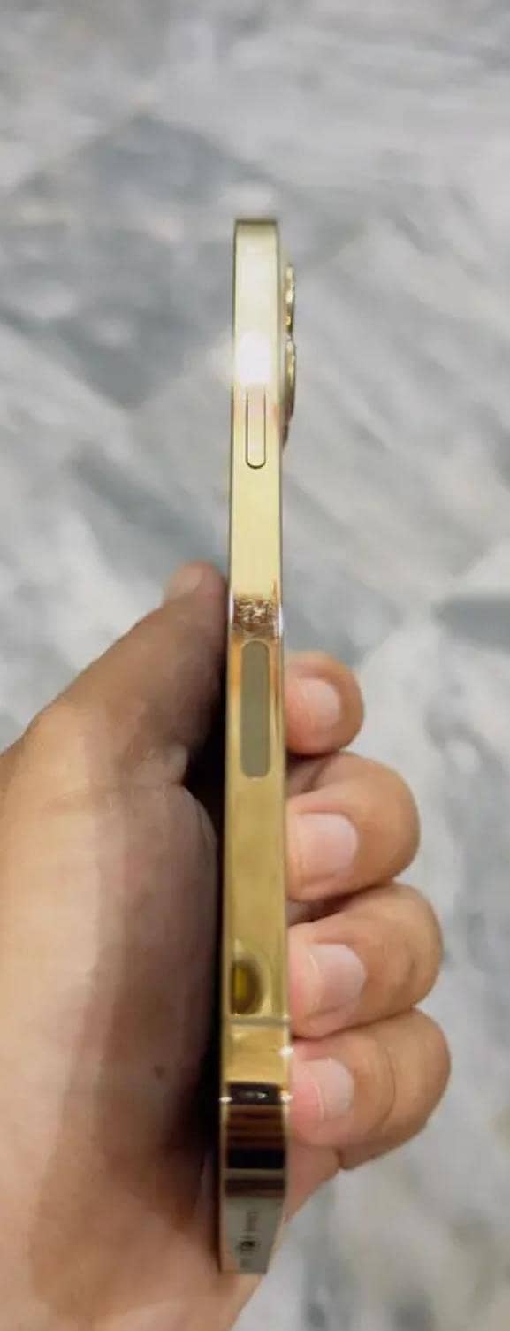 Apple iPhone 12 Pro Max 1