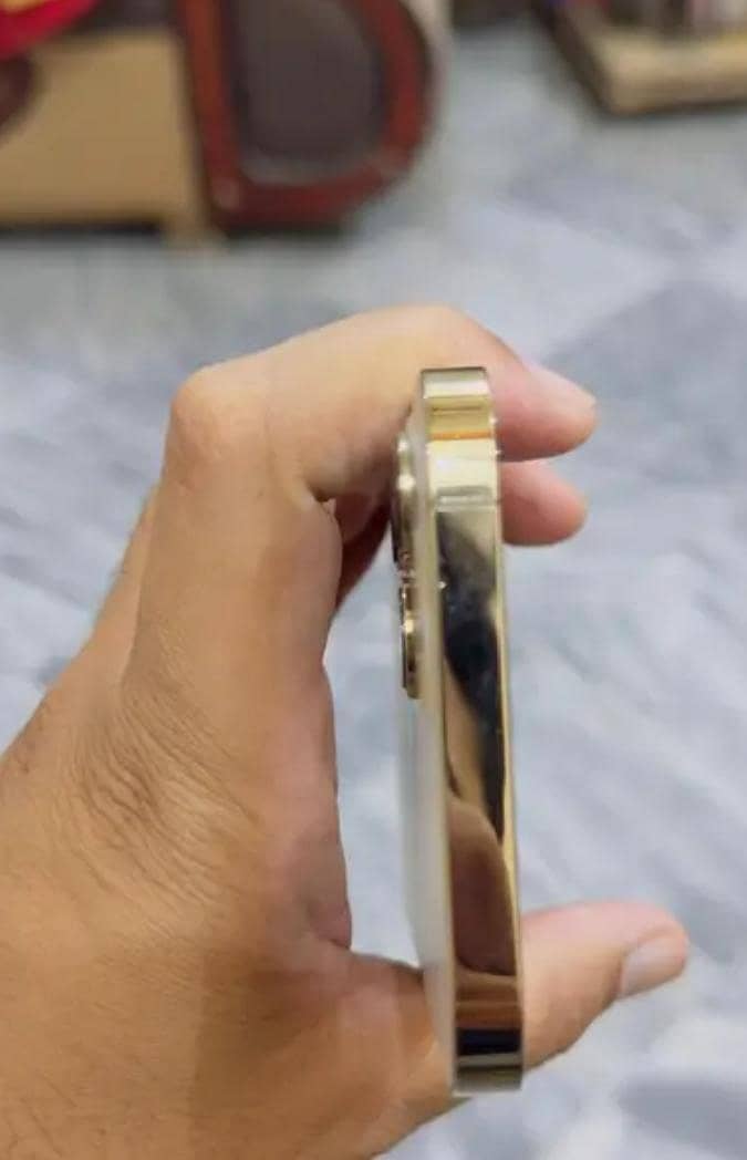 Apple iPhone 12 Pro Max 2