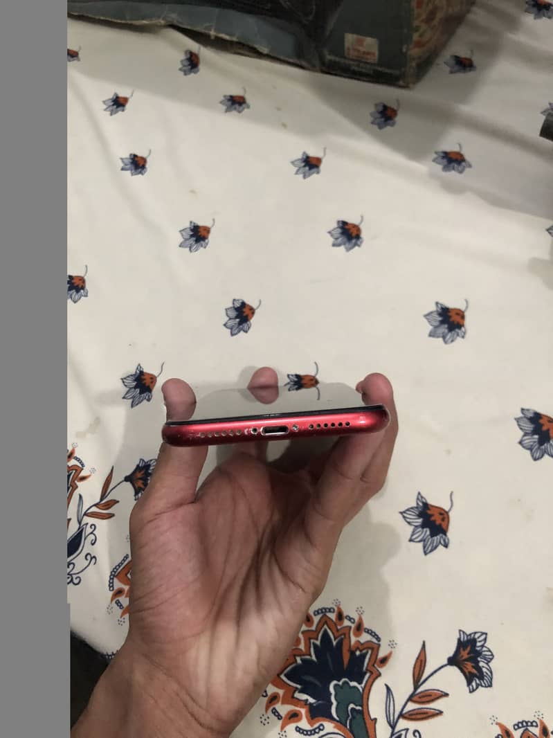 Apple iPhone 11 3