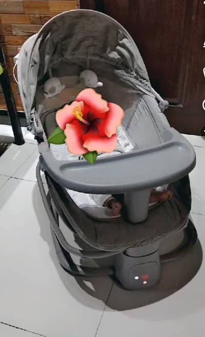 Electric Automatic swings