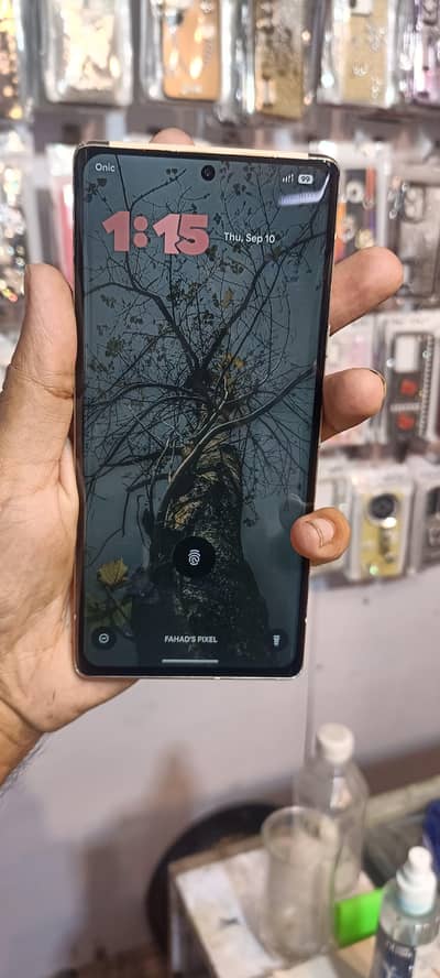 Pixel 6 Pro