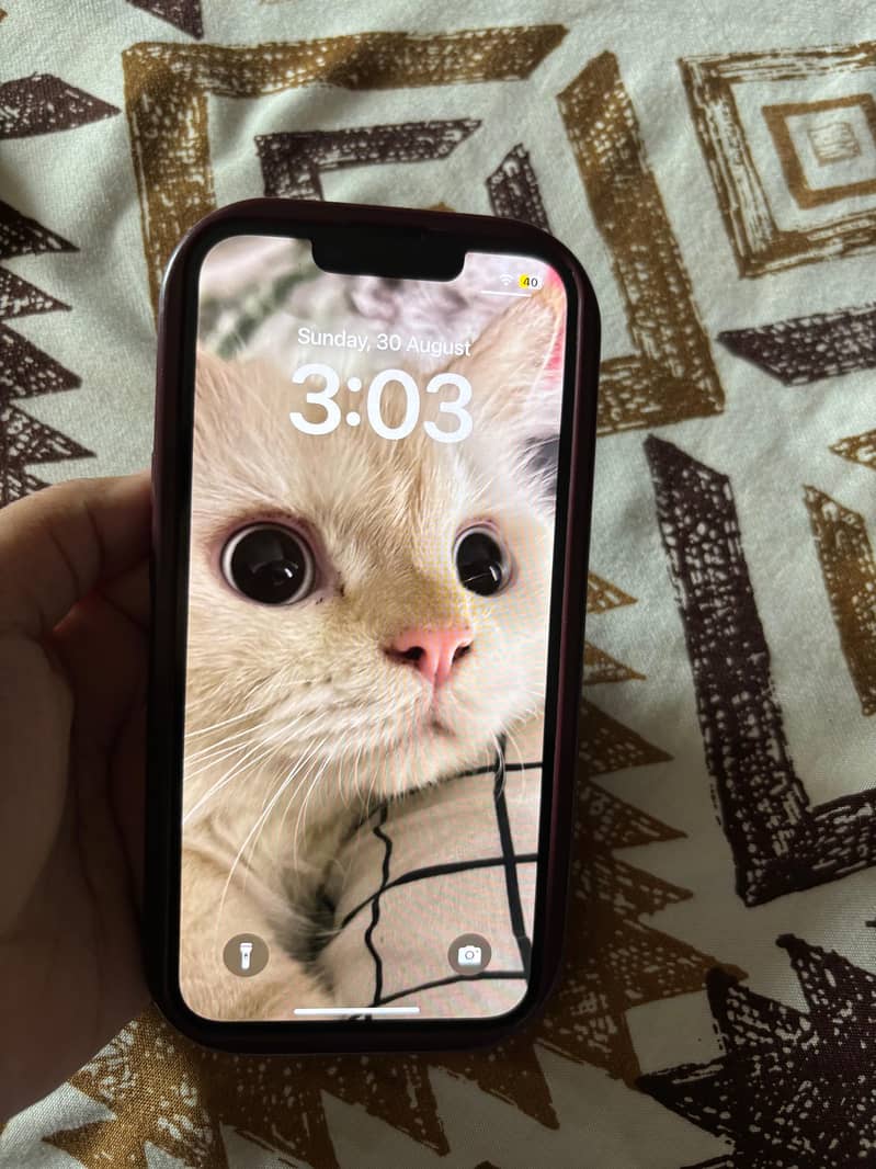 Apple iPhone 14 1
