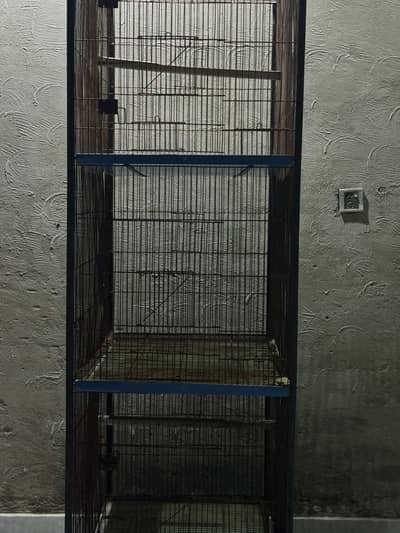 Parrots  cage
