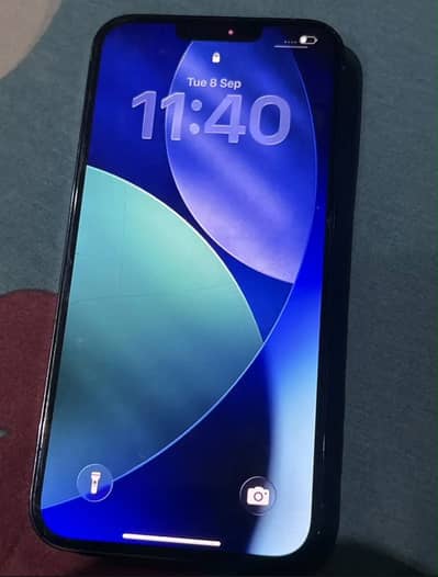Apple iPhone 13 Pro Max