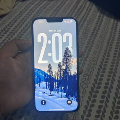 Apple iPhone 13 Pro Max