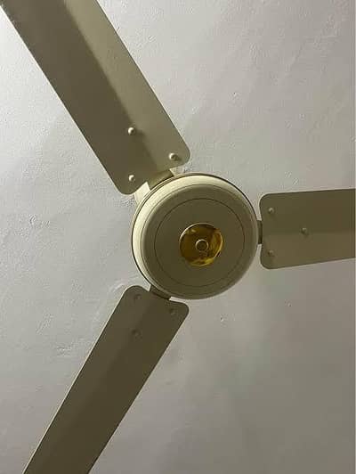 new condition fan only 4 months used