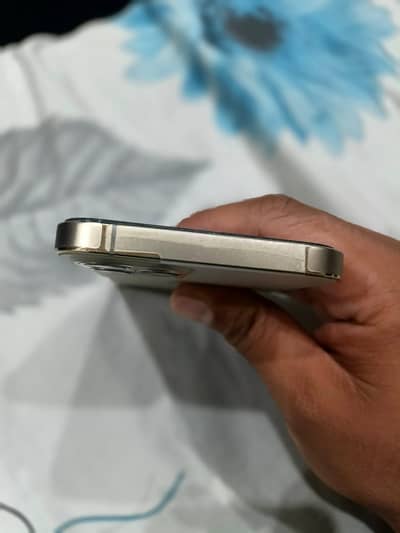 Apple iPhone 12 Pro