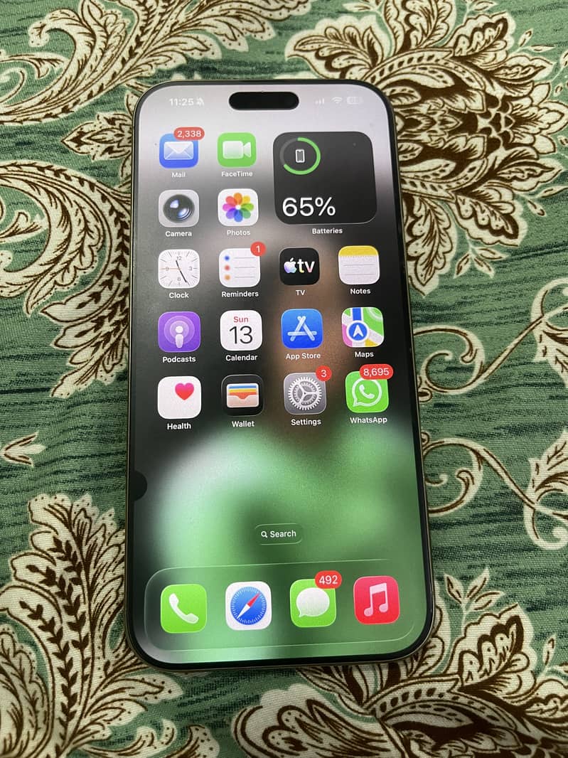 Apple iPhone 16 Pro Max 2