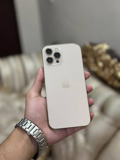 Apple iPhone 12 Pro Max