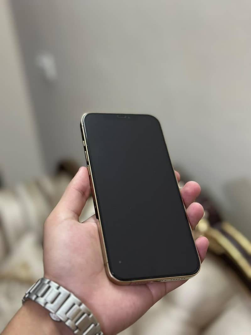 Apple iPhone 12 Pro Max 1