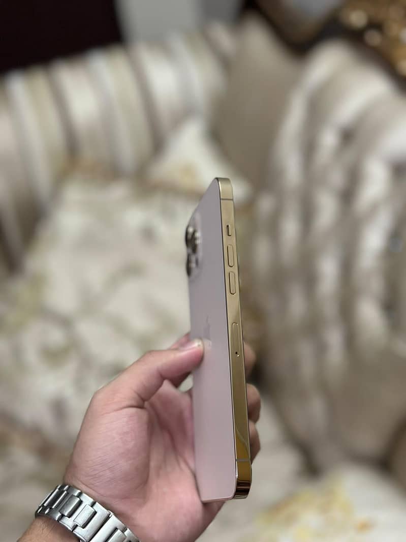 Apple iPhone 12 Pro Max 2