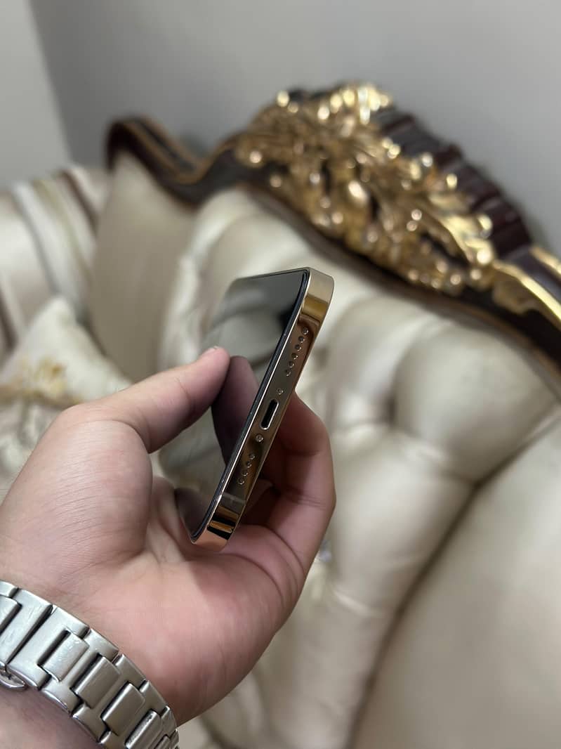 Apple iPhone 12 Pro Max 4