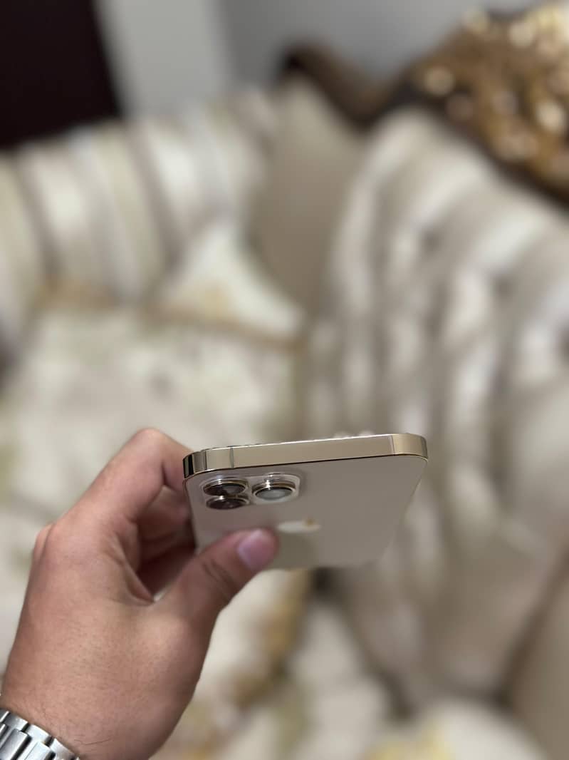 Apple iPhone 12 Pro Max 5