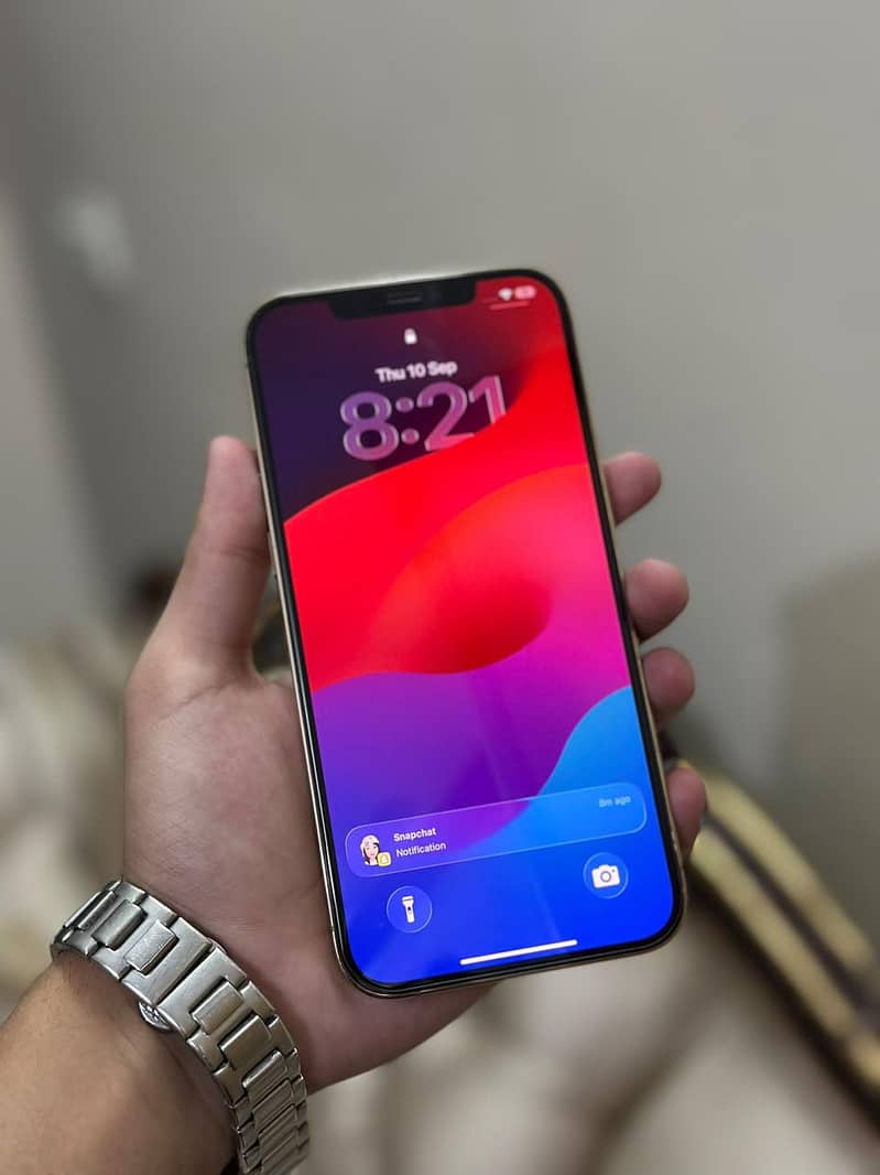 Apple iPhone 12 Pro Max 6