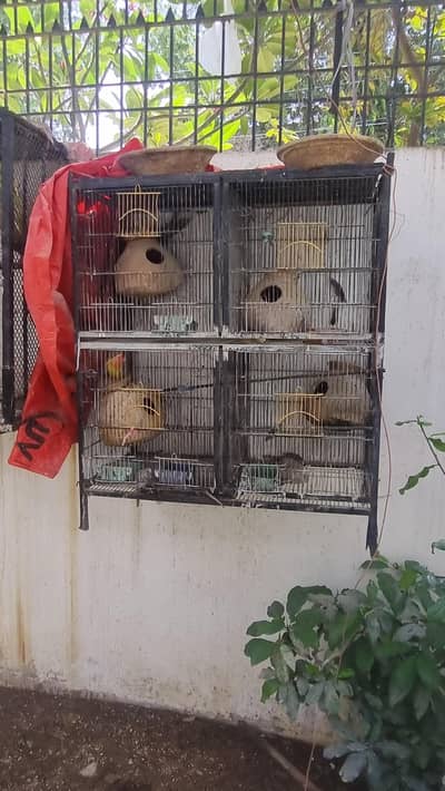 I am sel my 2 cages good condition 3x3 size k h dono cages03132432355