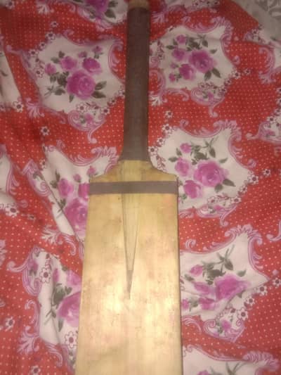 hard ball bat