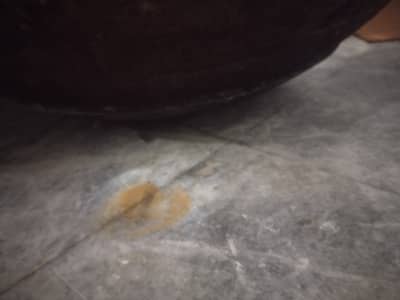 Bari Karhae for sale