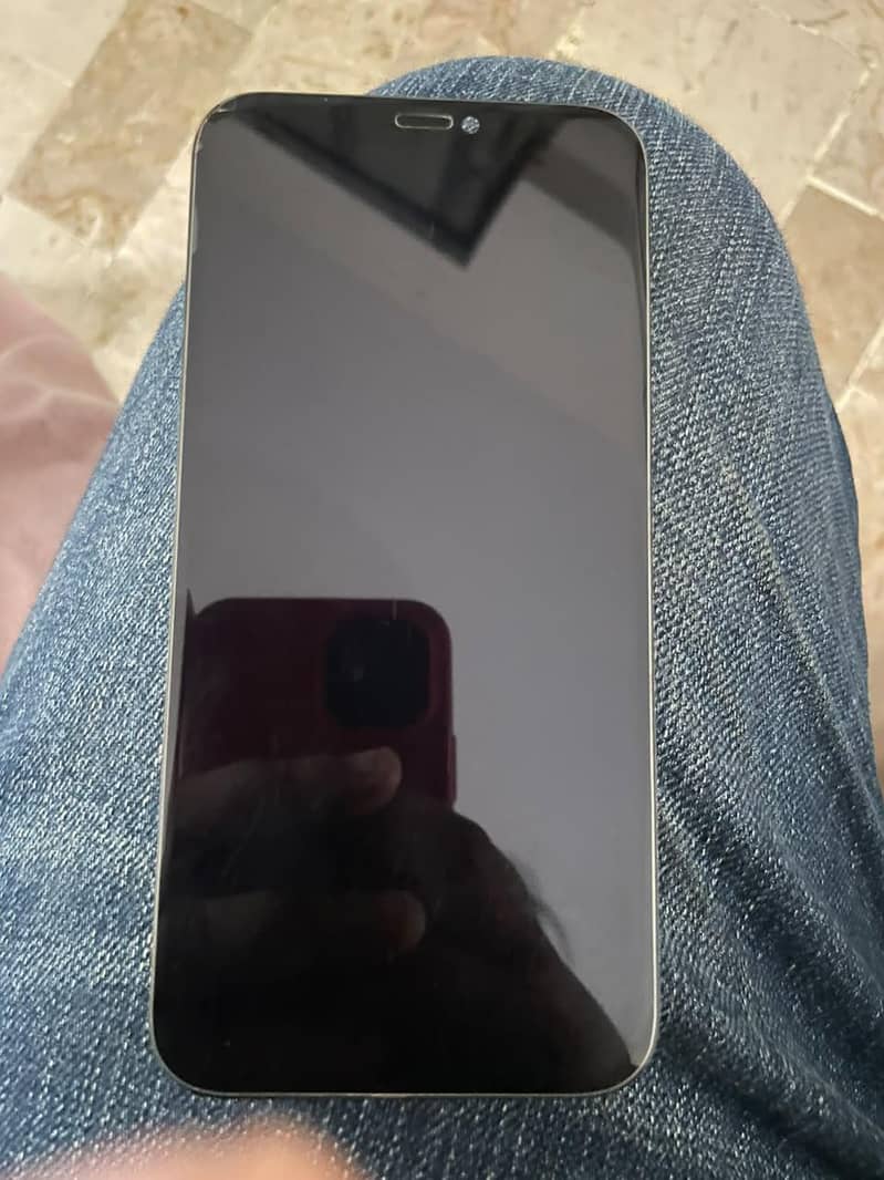 Apple iPhone 12 panel only 1