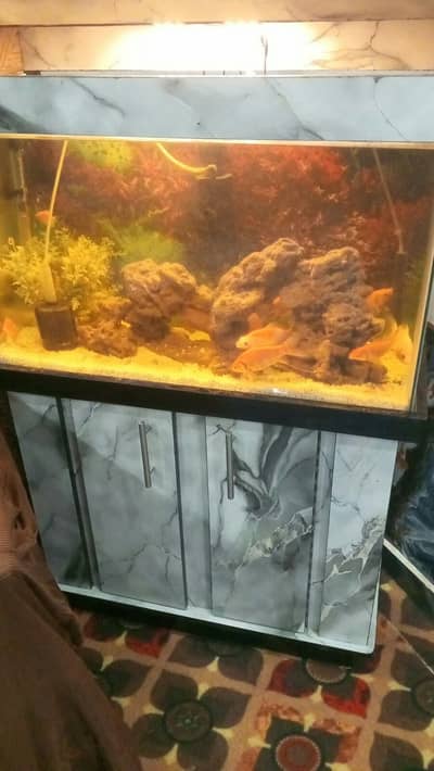 Aquarium with Live Fish, Stand & Complete Setup for Sale