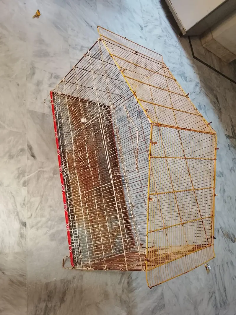 foldable Case 1.5ft x 3ft big . new tray lagi hui hy . — photo 2