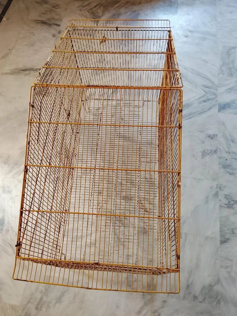 foldable Case 1.5ft x 3ft big . new tray lagi hui hy . — photo 3