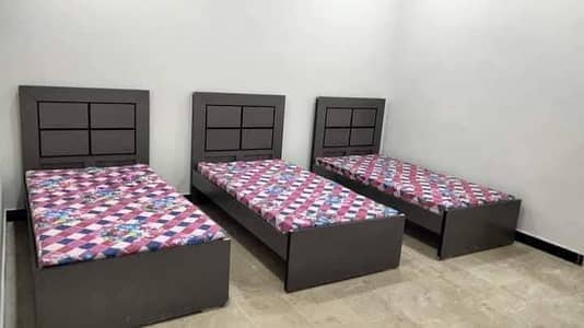Lavish Boys Hostel