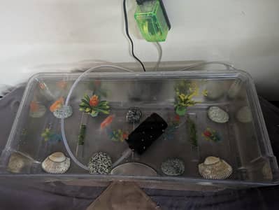 Fish tank with pump & filter + fish for sale