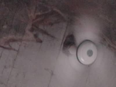 2 ceiling fan for sale