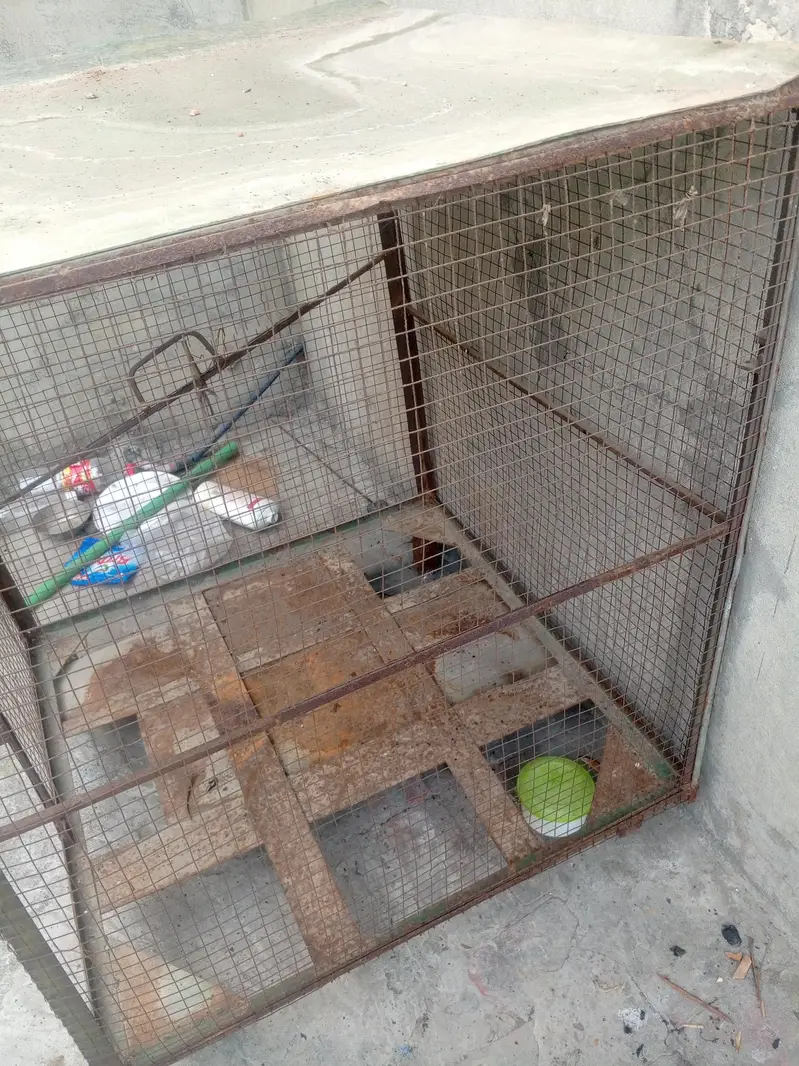 3.5 or 3 ka hak all oky door bi sath — photo 2
