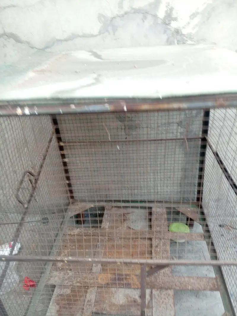 3.5 or 3 ka hak all oky door bi sath — photo 3