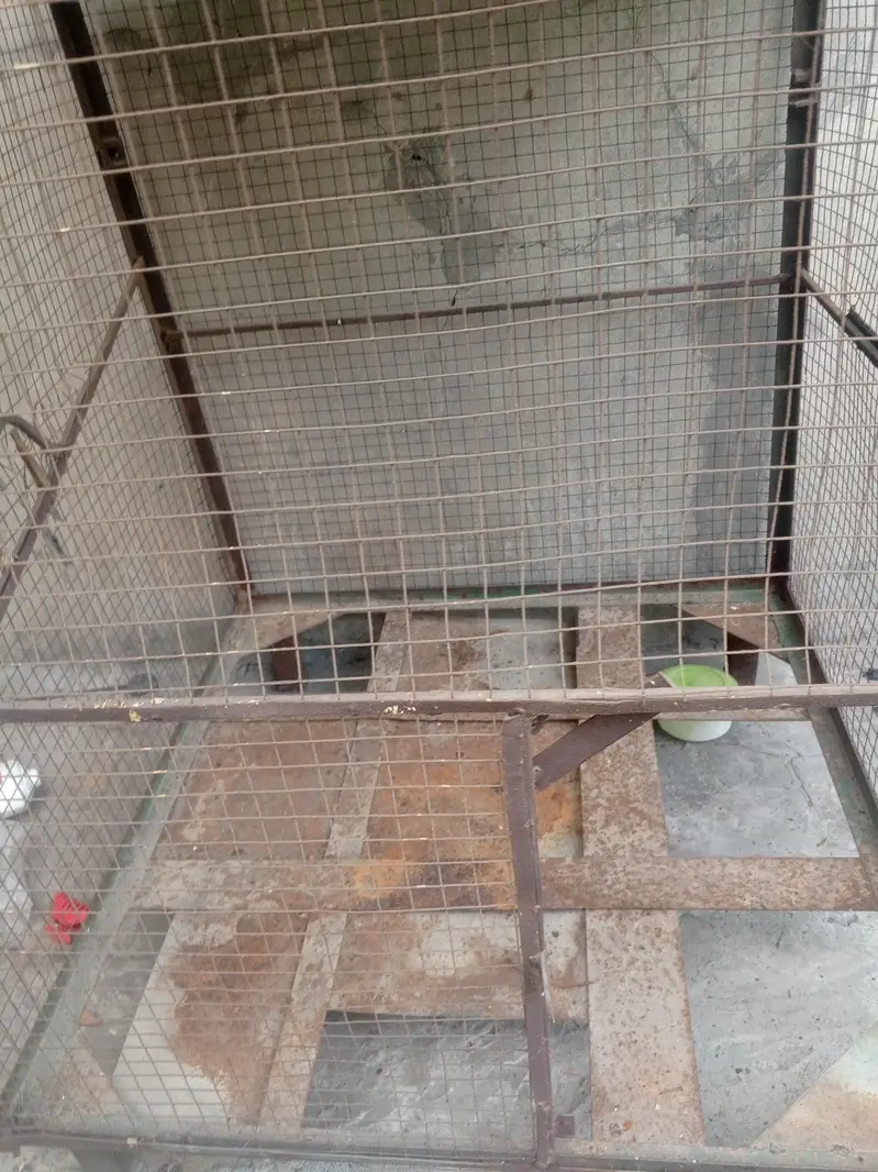 3.5 or 3 ka hak all oky door bi sath — photo 4