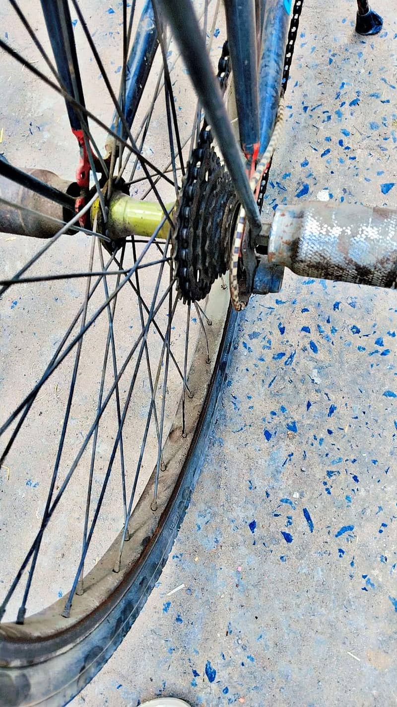 walling wali cycle 0