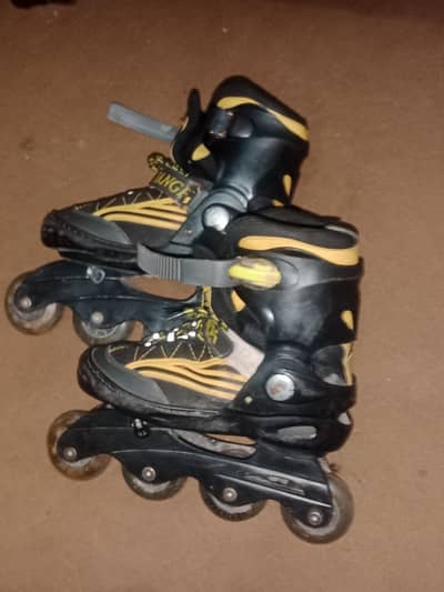 skating shoes