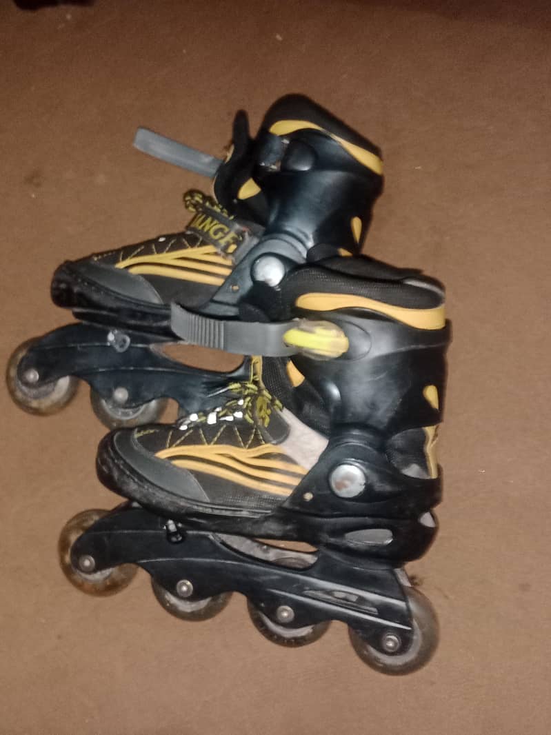 skating shoes 0