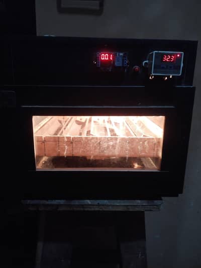 eggs incubater