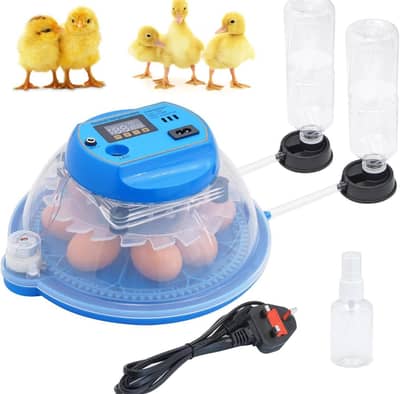 8 Eggs Automatic Incubator | AC/DC Dual Power