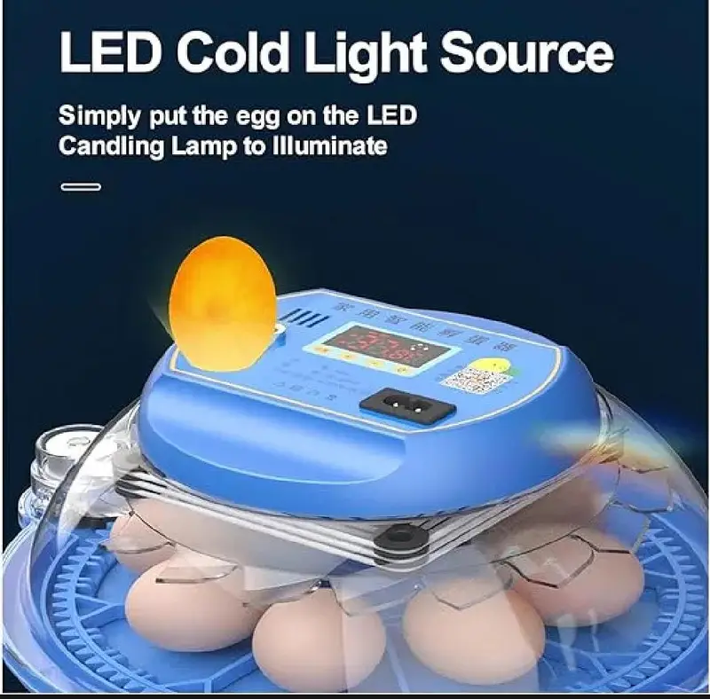 8 Eggs Automatic Incubator | AC/DC Dual Power — photo 3