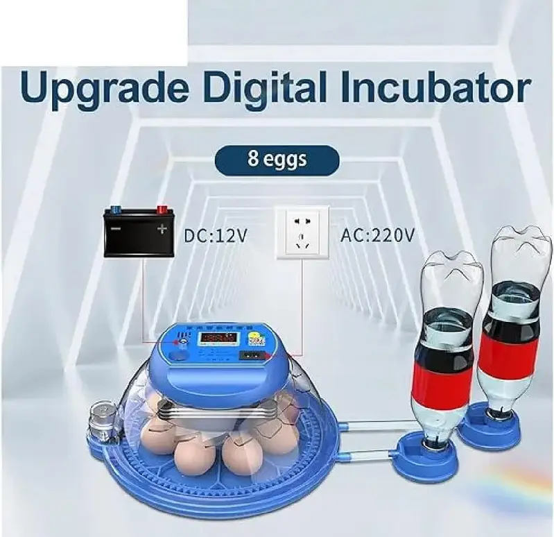 8 Eggs Automatic Incubator | AC/DC Dual Power — photo 4