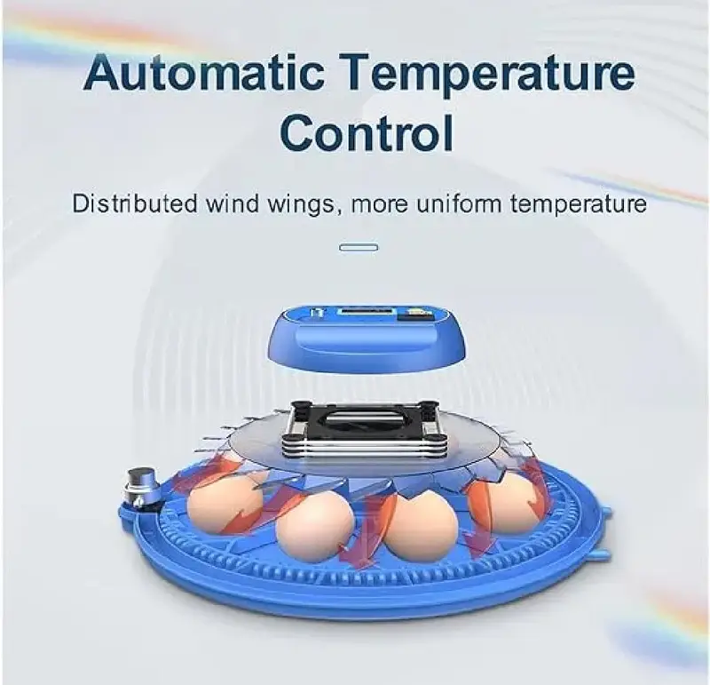 8 Eggs Automatic Incubator | AC/DC Dual Power — photo 5