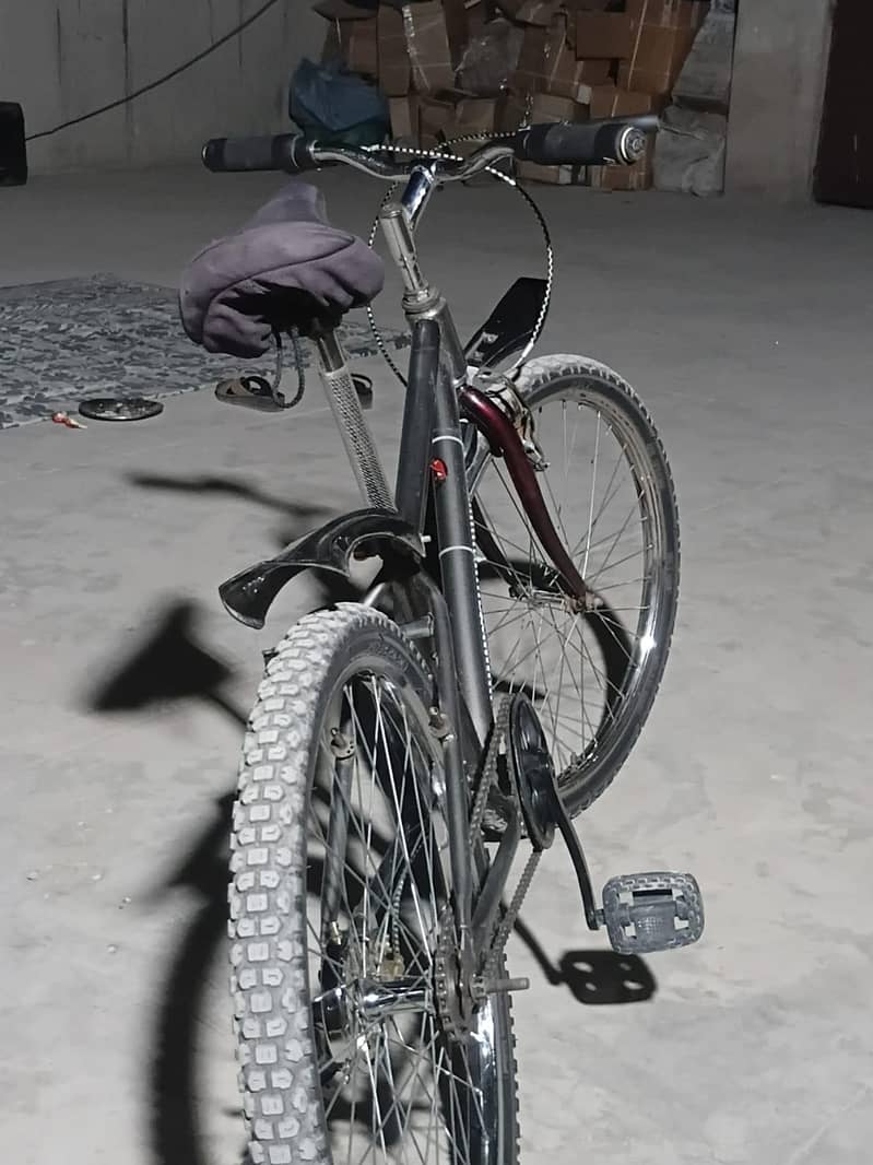 bicycle 2