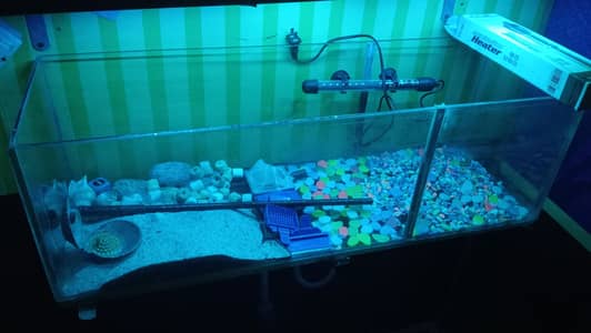 Fish Aquarium for Sale with Full Accessories