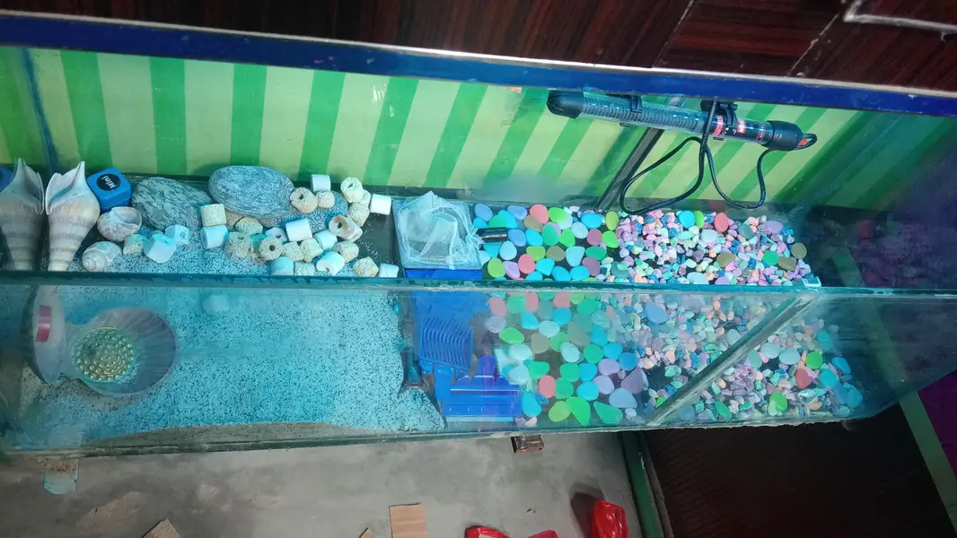 Fish Aquarium for Sale with Full Accessories — photo 2