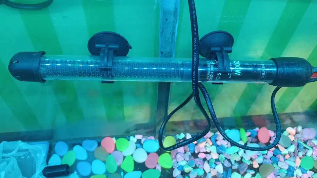 Fish Aquarium for Sale with Full Accessories — photo 3