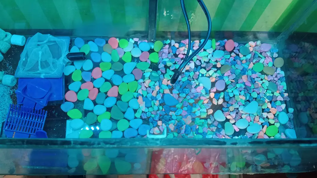 Fish Aquarium for Sale with Full Accessories — photo 4